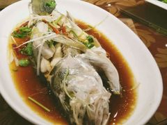 清蒸鲈鱼-盈春大饭店(千山路店)