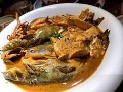 -鸽子窝(黄村店)