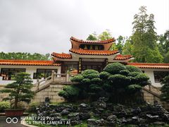 -深圳仙湖植物园