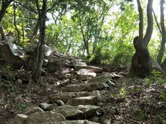 -王顺山国家森林公园