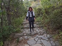 -阳台山自然风景区