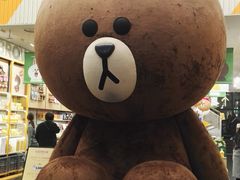 -line friends(明洞旗舰店)
