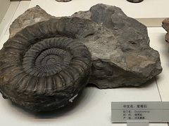 -天津自然博物馆