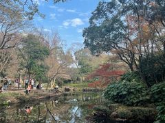 -秋霞圃