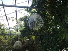 -武汉紫薇都市田园