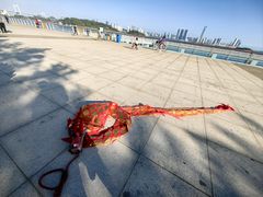 -海沧湾公园