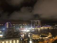 -新加坡瑞士史丹福酒店