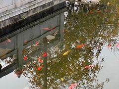 -梅园