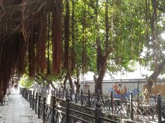 -小洲村