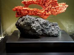 -绮丽珊瑚(台北101旗舰门市店)