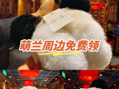 -凯德MALL(望京店)