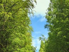 -捞渔河湿地公园