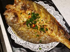 -九府羊·鲜羊火锅·烤串(新华路店)