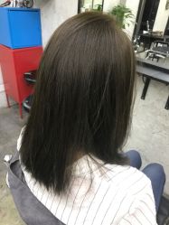 -SALON V