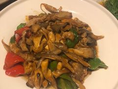 -鸽子窝(黄村店)