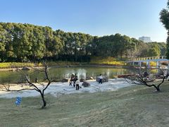 -美兰湖景区