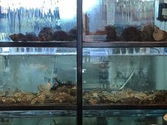 水产区-琴寿司居酒屋(软件园店)