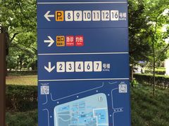 -上海交通大学医学院附属瑞金医院(总院)