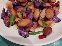 -佬肥猫(七宝宝龙店)