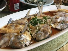 -骆驼阿三饭店(迪赛邻里店)