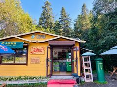 -五营红松林海景区