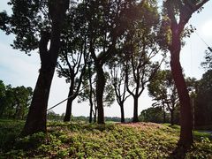 -东庄海岸高尔夫俱乐部