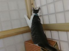 -小时光咖啡馆(开森度假森林店)