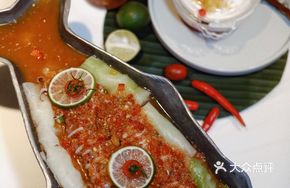 Lime Squid
