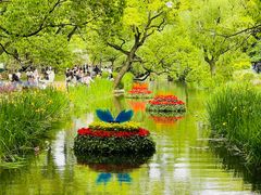 -上海共青森林公园