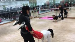 -葆姿普拉提·瑜伽