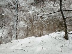 -狼牙山风景区