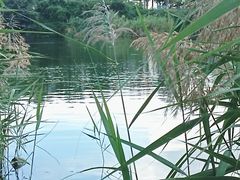 -厦门园林博览苑