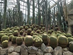 -南山植物园