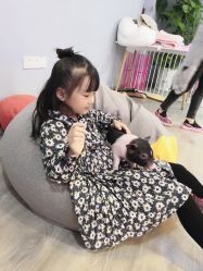 -Moni星球萌宠·小马宝莉·灵蛇·高端高阶全萌宠互动体验俱乐部(红豆国际广场店)