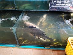 -大鹅岛灶台鱼·铁锅炖(水库路店)
