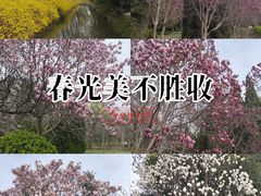 -洛阳市隋唐城遗址植物园
