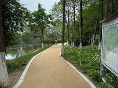 -西溪国家湿地公园