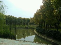 android_upload_pic-中加枫华国际学校
