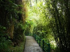 -四洞沟景区