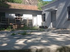 -秦岭终南山世界地质公园翠华山景区
