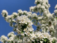 -远洋未来广场(育慧北路店)