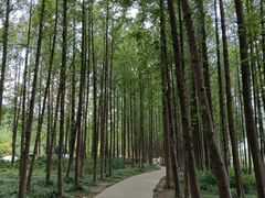 -云龙湖旅游景区