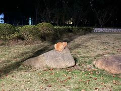 -广富林宰相府酒店·水云间
