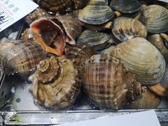 -海岛渔村大酒店(云霄路店)