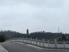 -重庆园博园