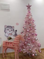 -Lab Season惜辰颜究社