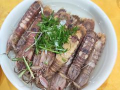 盐水浸濑尿虾-蚝专家(北滘店)