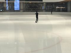 -TheRink大零溜冰场(IFS国金中心店)