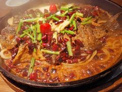 -老板恋上鱼(印象城店)