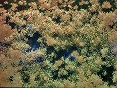 -珠海长隆海洋王国